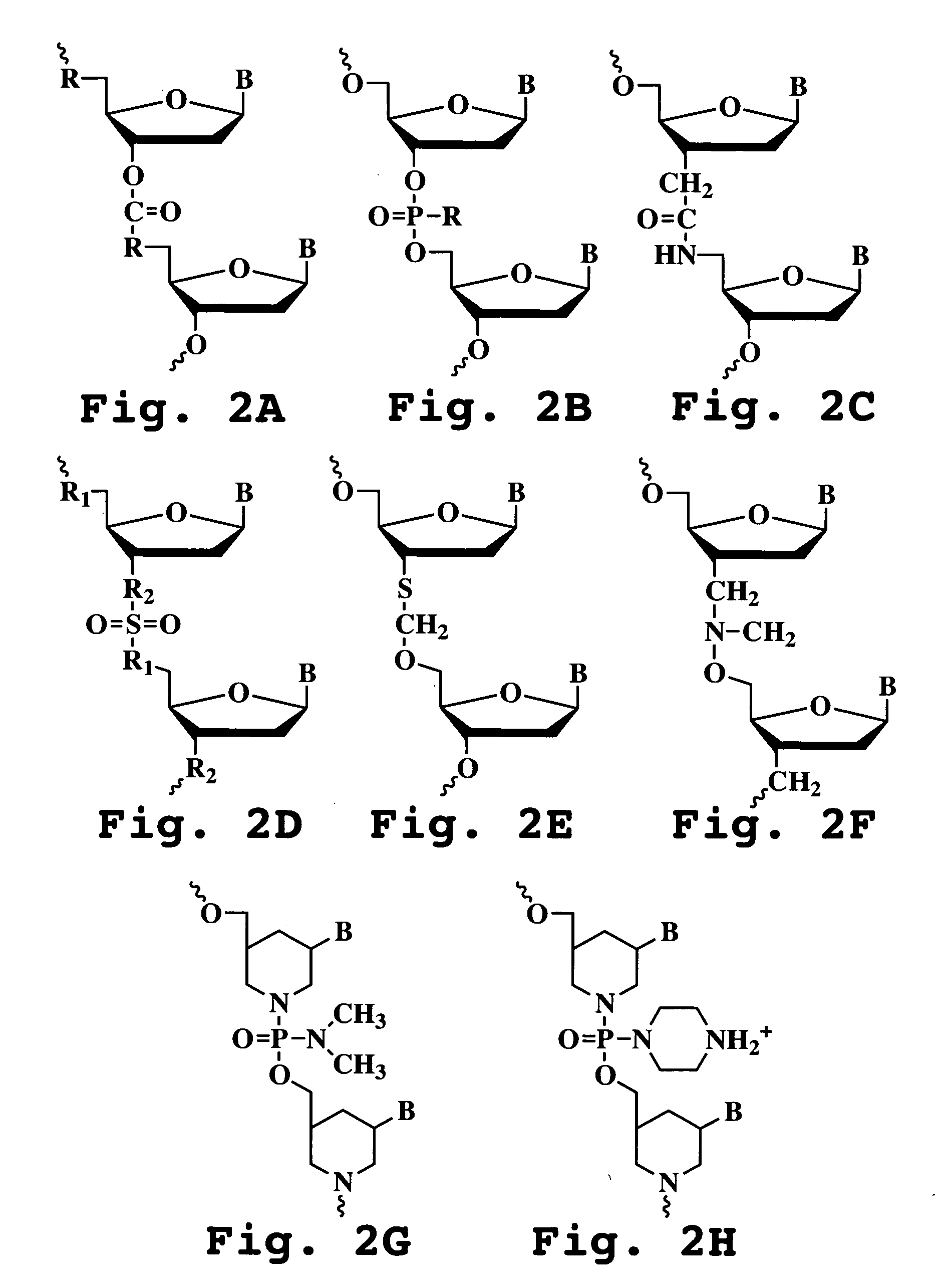 Antisense antiviral compound and method for treating picornavirus infection