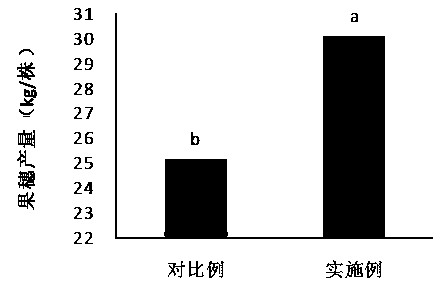 Synchronous nutrition fertilizers, preparation methods thereof and applications thereof