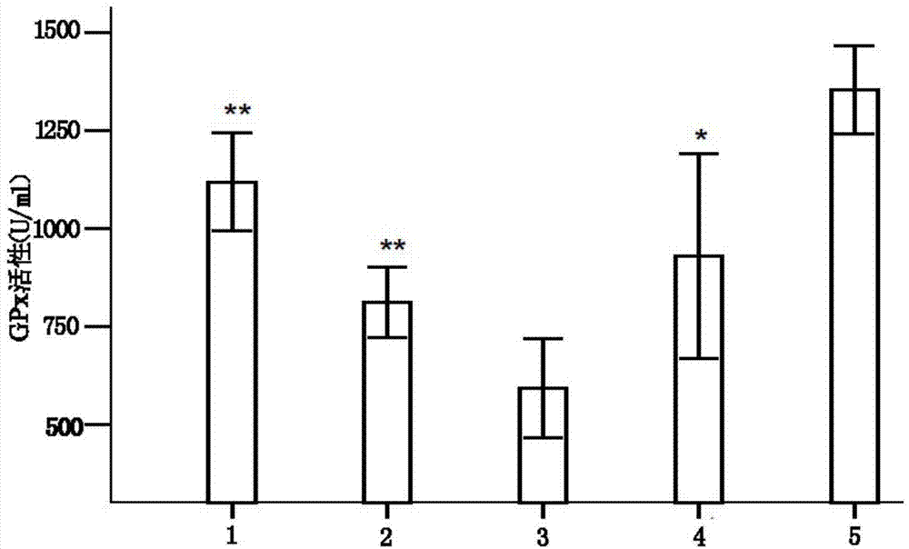 Isolated culture method of saussurea involucrata stem cells and application of saussurea involucrata stem cells in preparation of anti-senile product