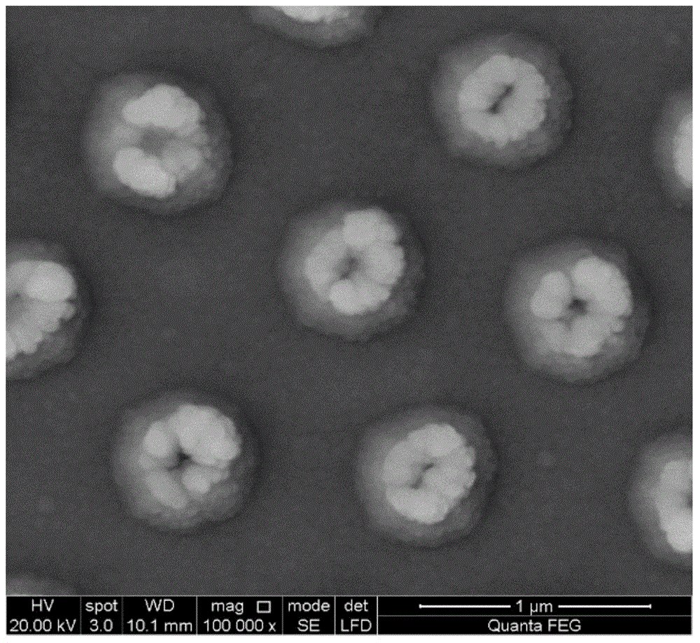 Quick preparing method for large-area surface Raman spectrum enhancing monocrystalline silicon substrate