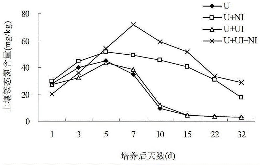 Novel sustained-release long-acting compound fertilizer and preparation method thereof