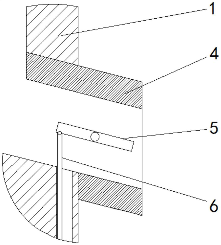 Poultry feeding device capable of automatically feeding and preventing pollution