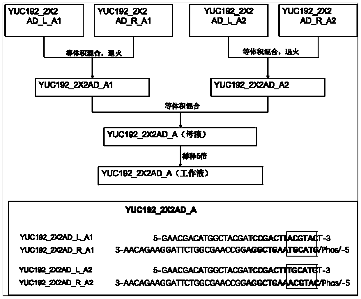 Combination tag, combination tag joint, and application ofcombination tagand combination tag joint