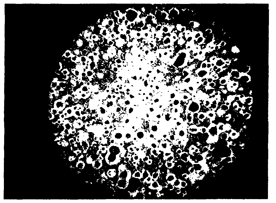 Method for producing castings by utilizing waste scrap iron and waste steel