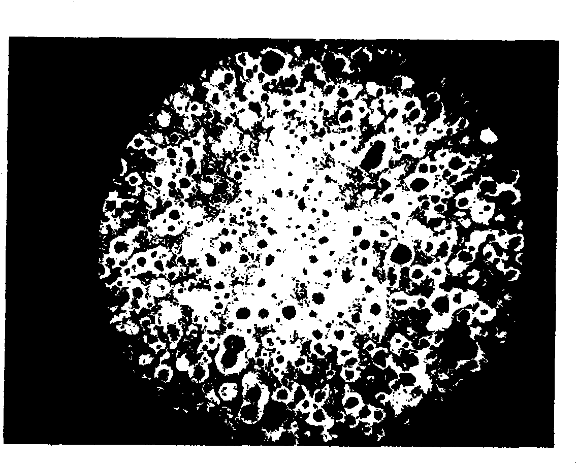 Method for producing castings by utilizing waste scrap iron and waste steel