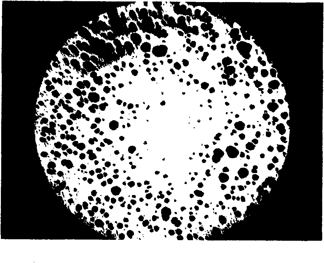 Method for producing castings by utilizing waste scrap iron and waste steel