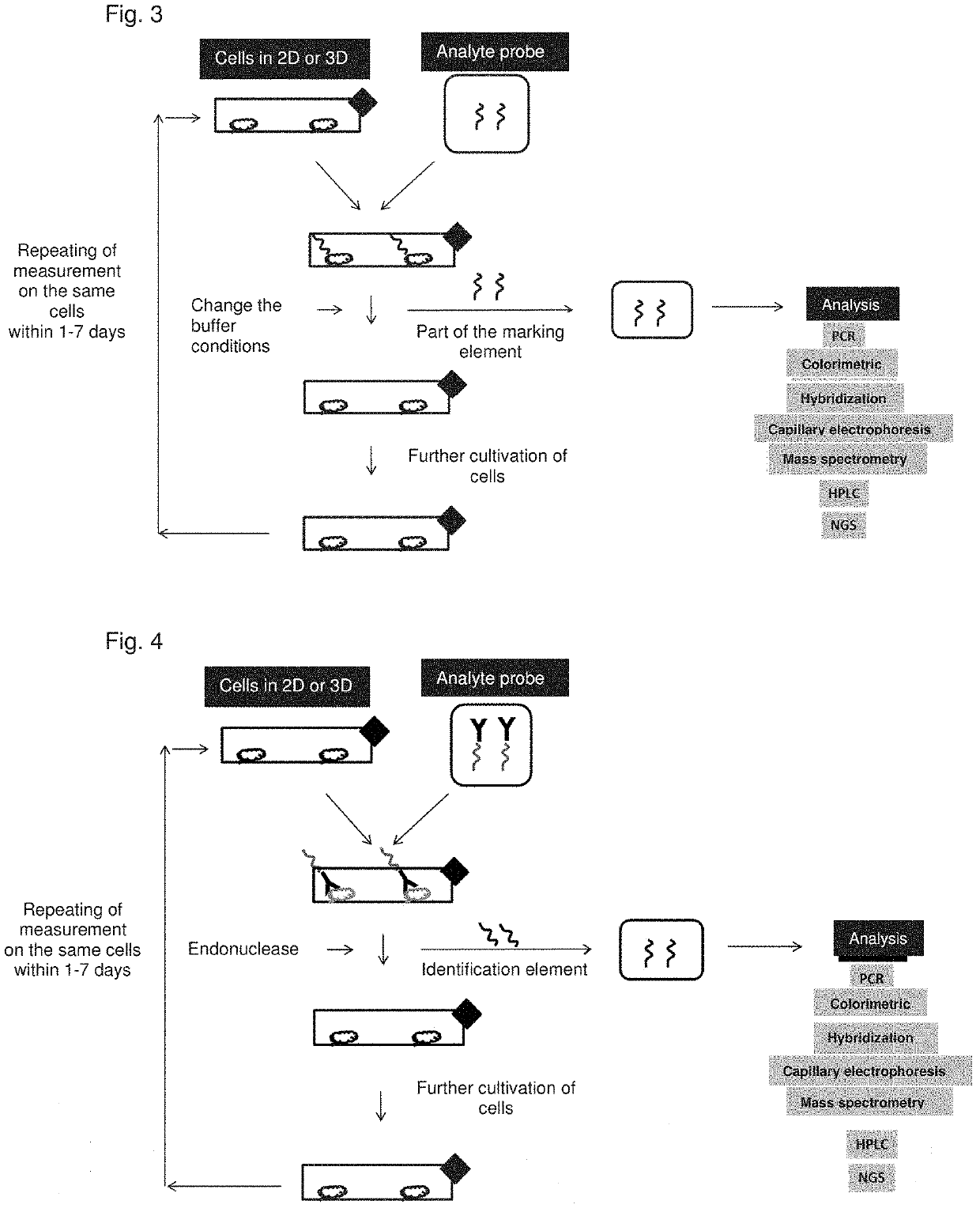 In situ cell analysis in cell culture system