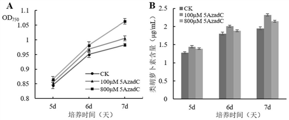 A method for increasing the biomass and carotenoid content of Chlamydomonas reinhardtii by using DNA methyltransferase inhibitors