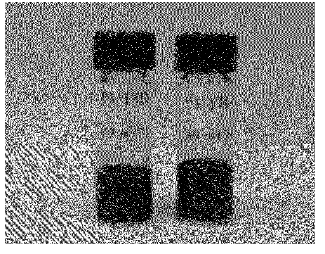 Molecule-based magnetic polymers and methods