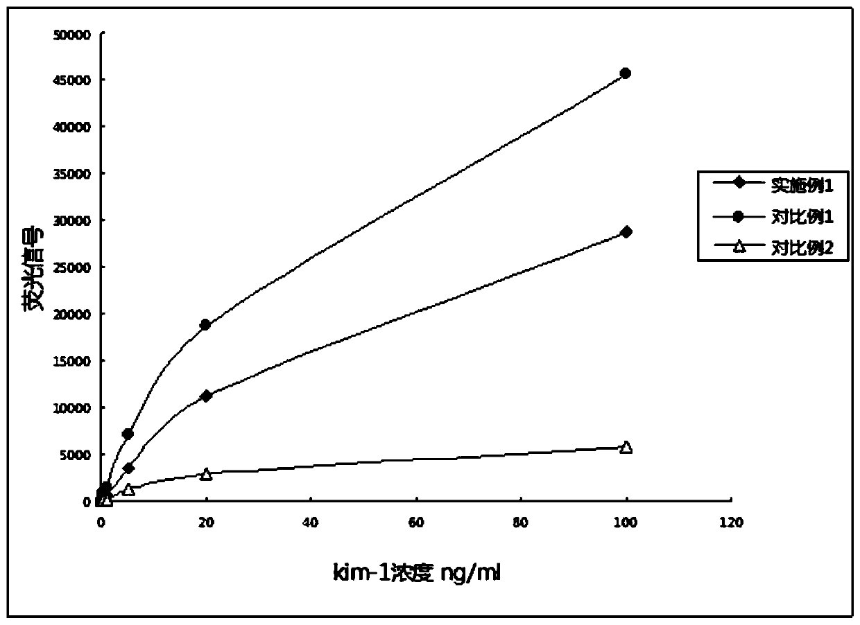 A fluorescent microsphere for labeling specific high-affinity recombinant antibody and its application