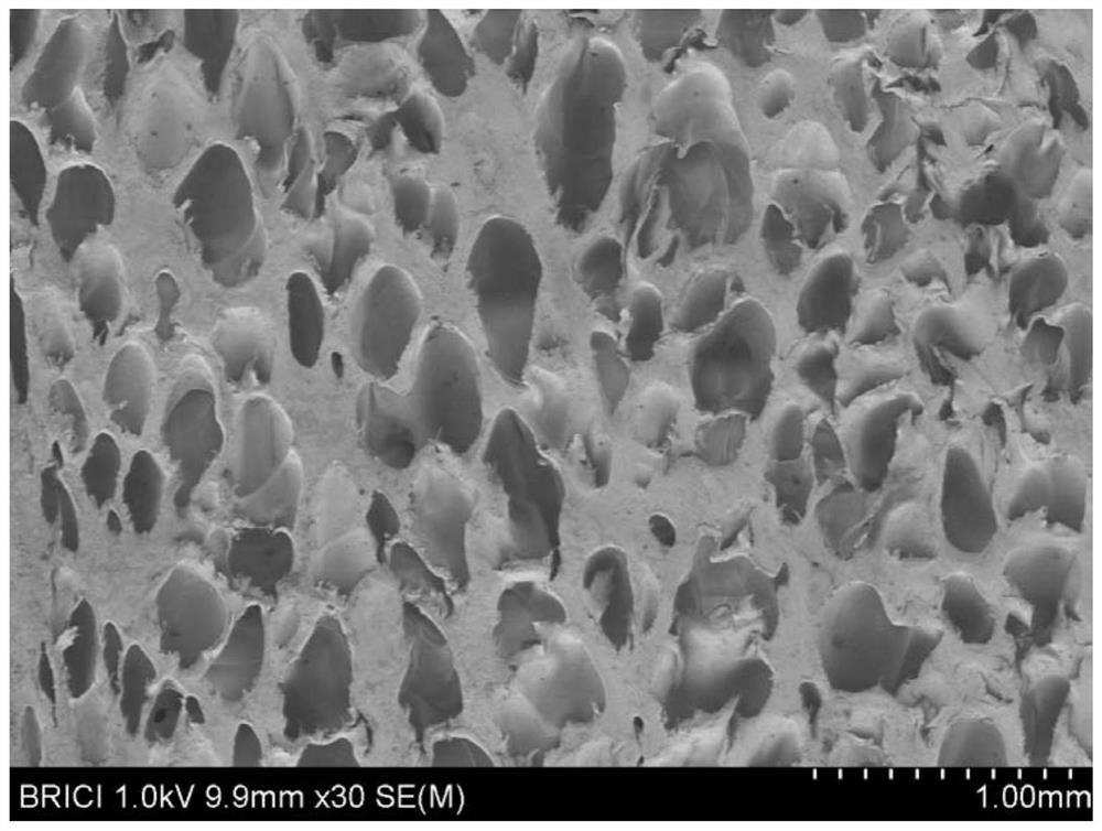 Foamed polypropylene composition, foamed polypropylene plate and preparation method thereof