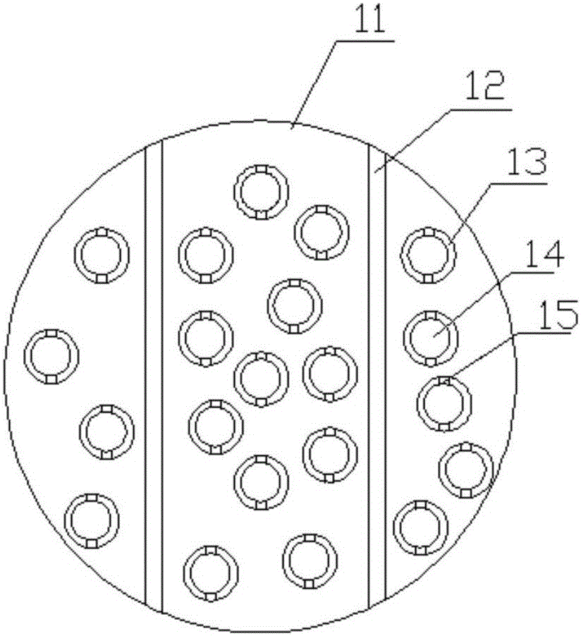 High-yield breeding method of Chinese soft-shell turtles