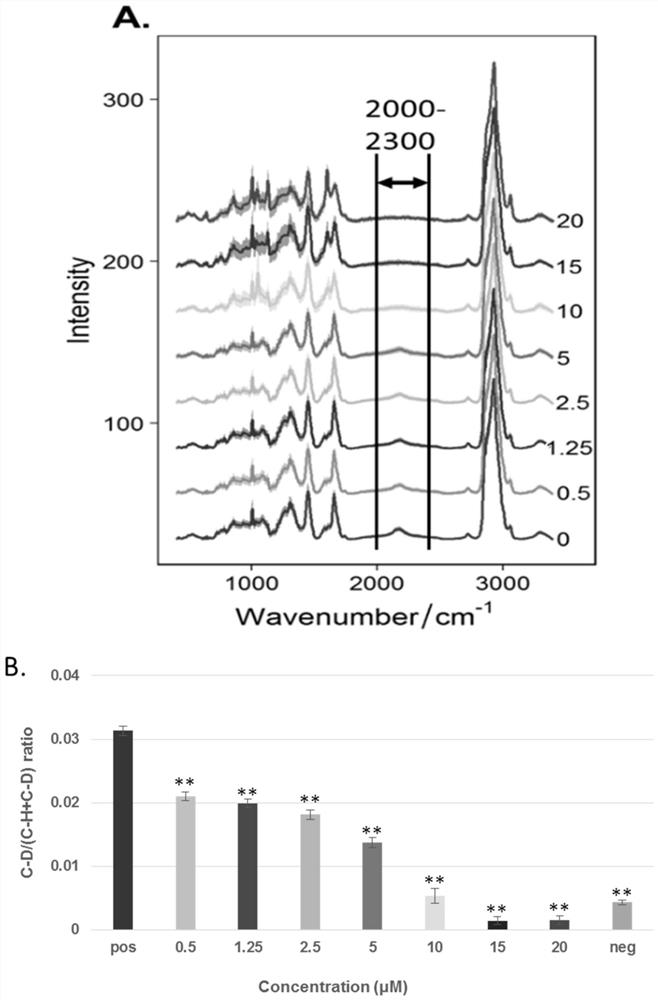 Method for evaluating efficacy of anti-tumor drug at cellular level