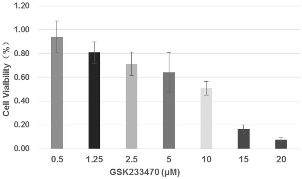 Method for evaluating efficacy of anti-tumor drug at cellular level