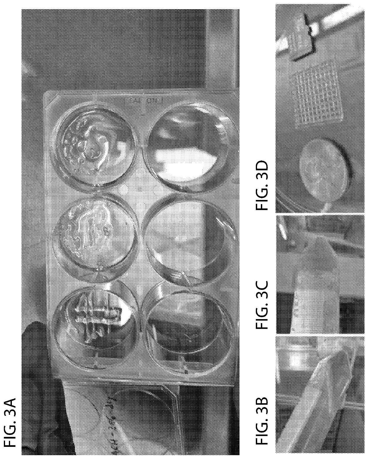 Compact mechanical syringe extruder for 3D bioprinting of cell laden gels