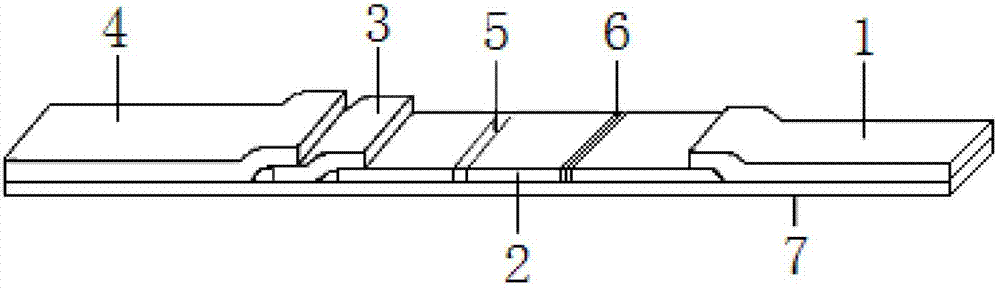 Colloidal gold test strip for detecting residue of sulfonamides, usage method and application thereof