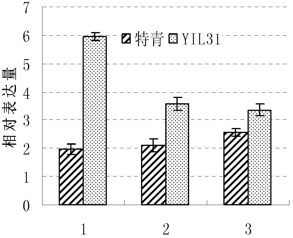 Gene PAC1 for controlling rice panicle and application