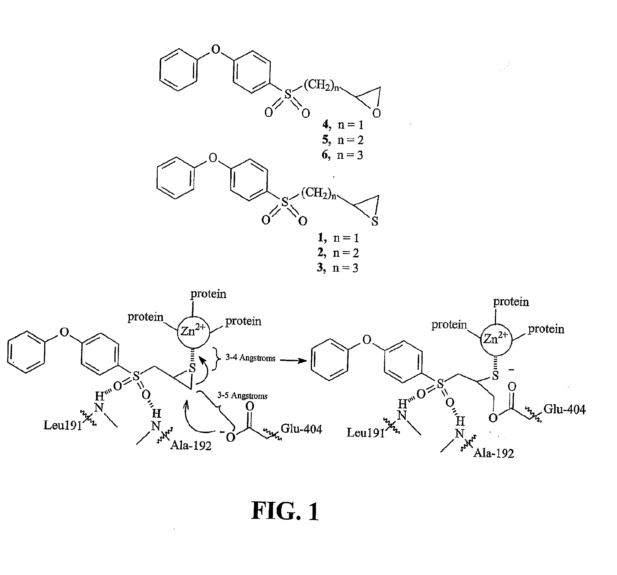 Inhibitors of matrix metalloproteinases to treat neurological disorders