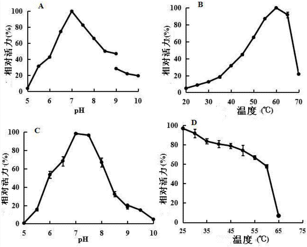 Preparation method of glucaric acid and uronic acid dehydrogenase-NADH oxidase and application thereof in preparation