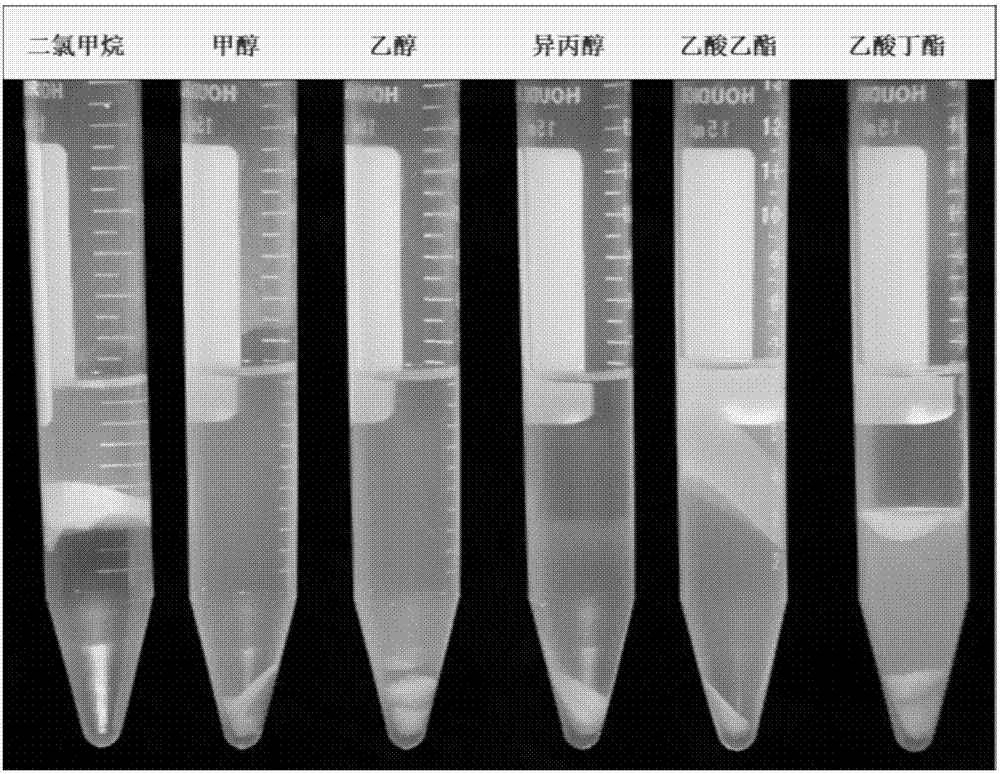 Method for quickly and efficiently extracting active antimicrobial substance HSAF (Heat Stable Antifungal Factor) in fermentation liquor