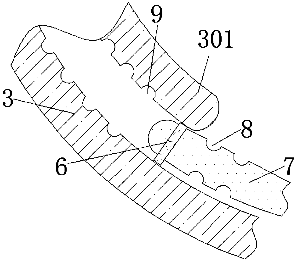 Novel feeding device capable of preventing fish feed from being mixed