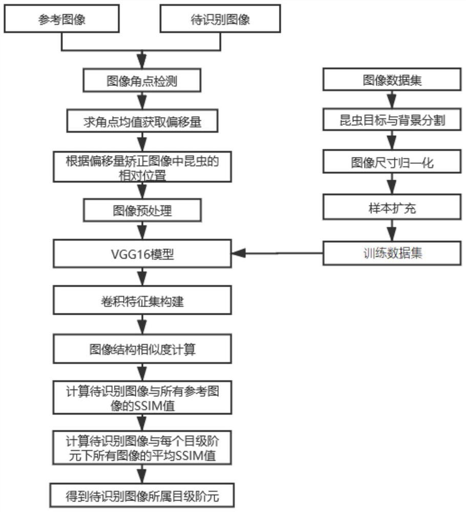 Image recognition method based on VGG16 on insect taxonomy