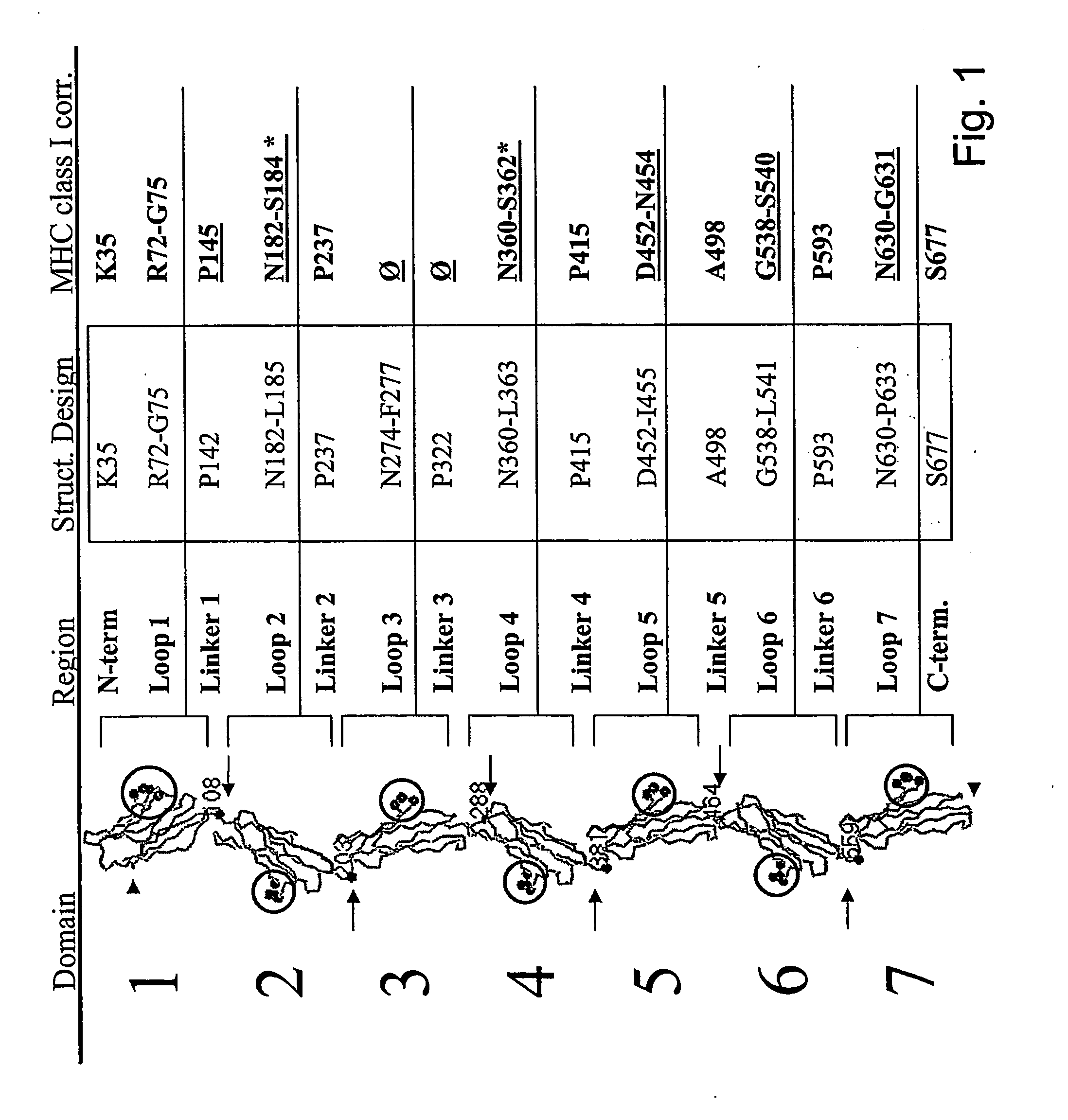 Immunogenic CEA