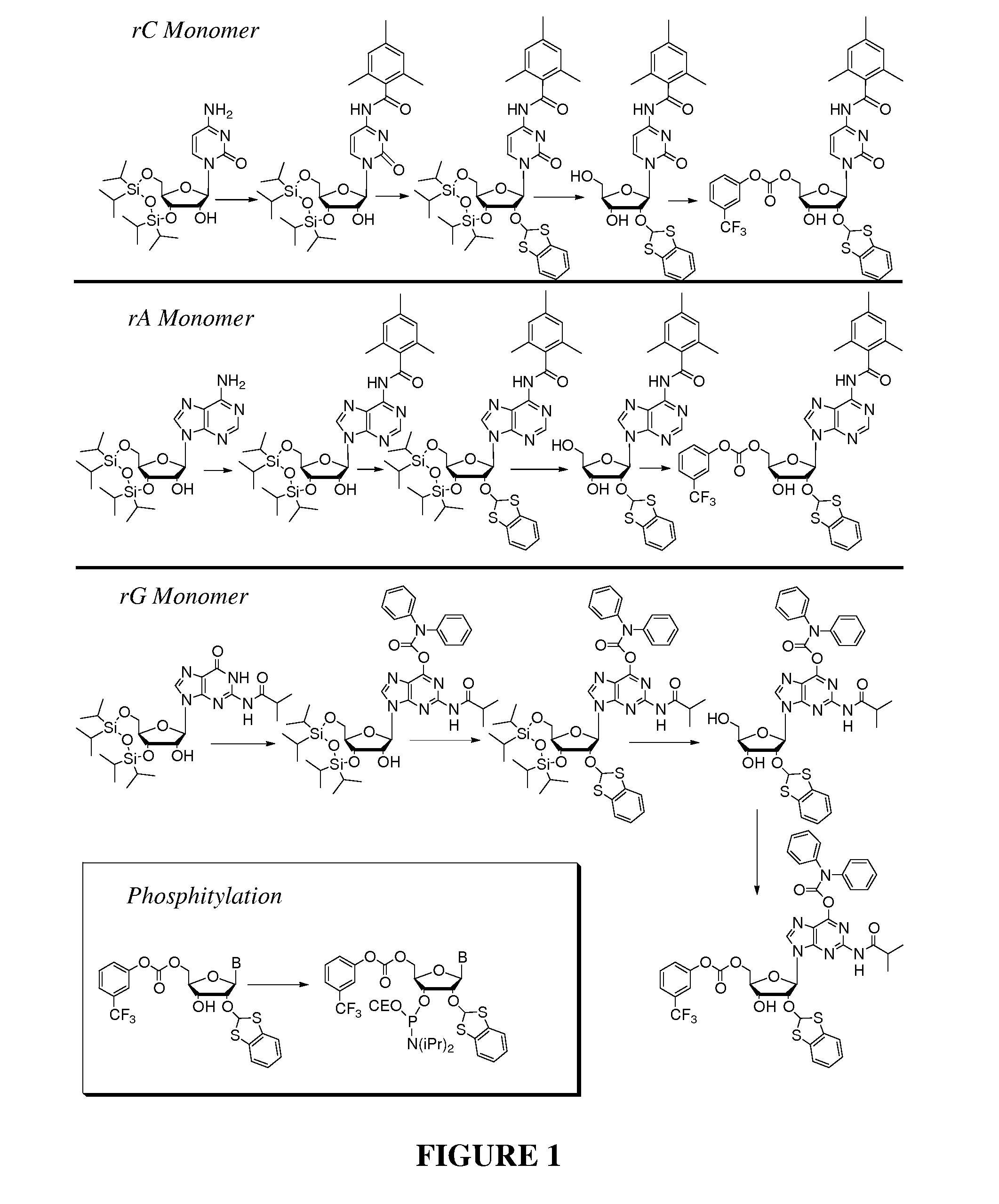 Protecting Groups for RNA Synthesis