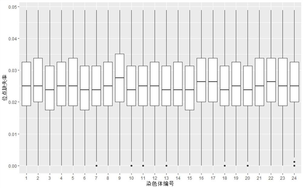 Genome selection method for breeding Plectropomus leopardus disease-resistant improved variety