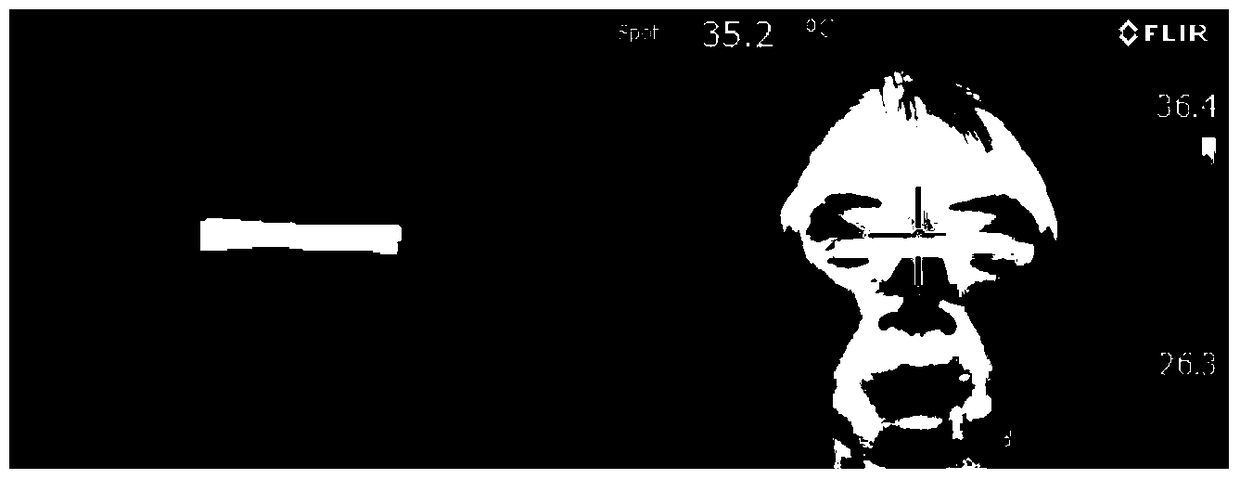 System and method for collecting and analyzing color information of traditional Chinese medicine