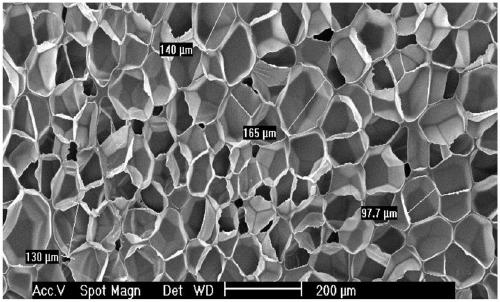 Antibacterial polypropylene composition, microporous antibacterial polypropylene foamed sheet, preparation method thereof and foamed sheet