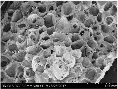 Antibacterial polypropylene composition, microporous antibacterial polypropylene foamed sheet, preparation method thereof and foamed sheet