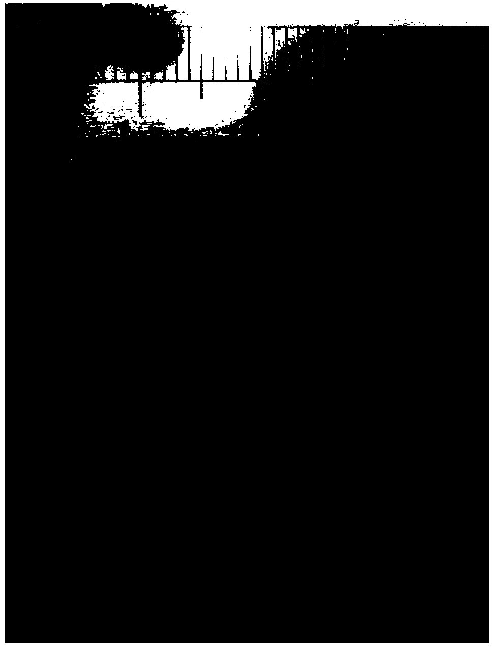 Macro preparation method of macroscopic three-dimensional graphene aerogel adsorption material used for indoor air purification