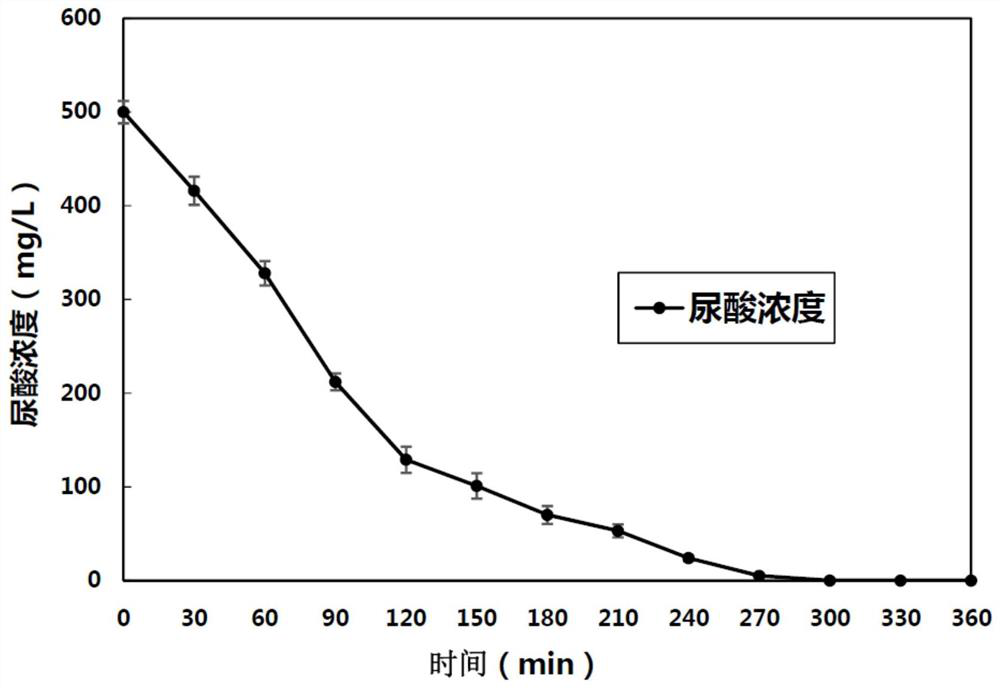 Lysinibacillus fusiformis preparation for degrading uric acid as well as preparation method and application of lysinibacillus fusiformis preparation