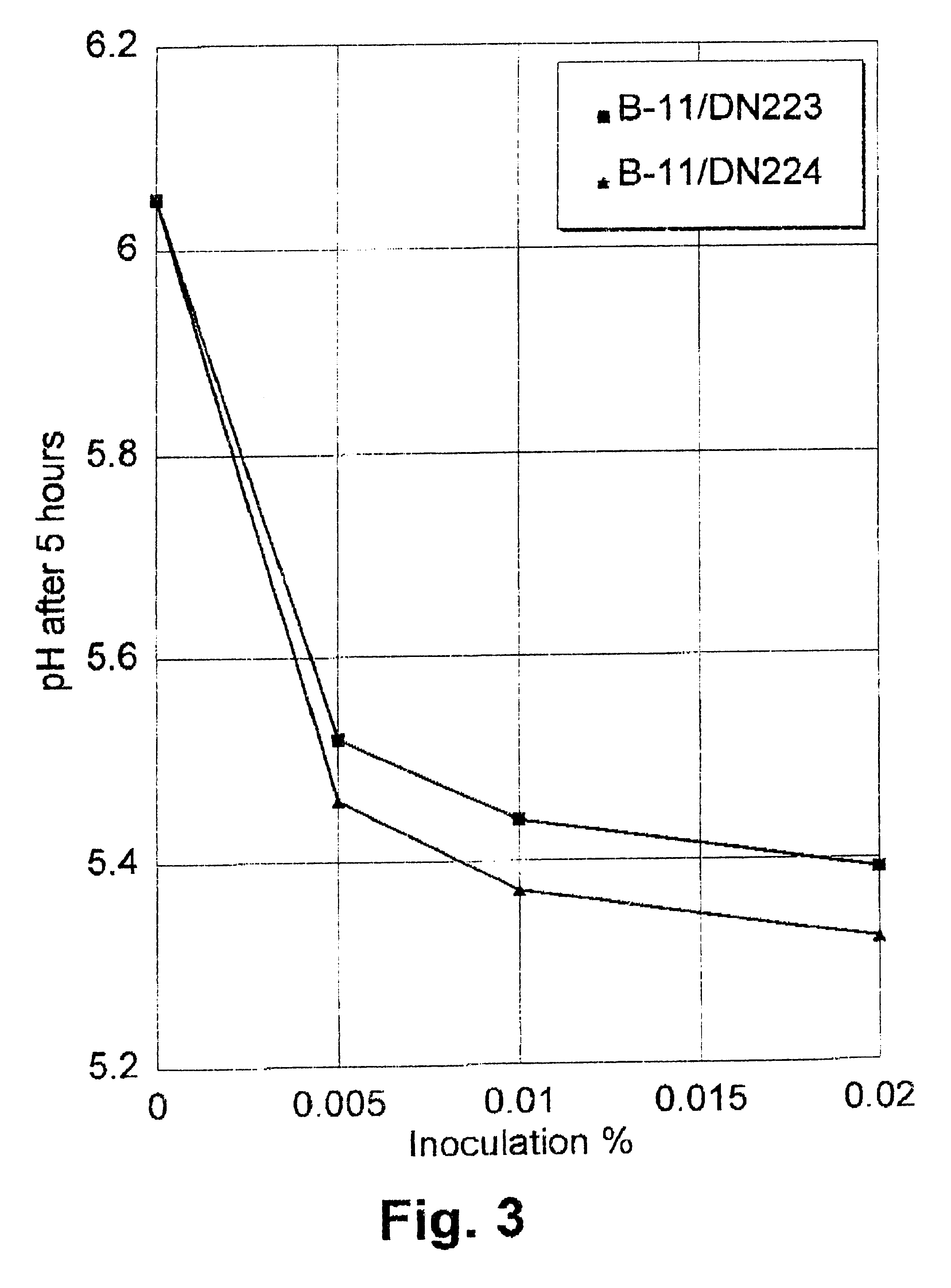 Method of improving the efficacy of lactic acid bacterial starter cultures and improved starter culture compositions