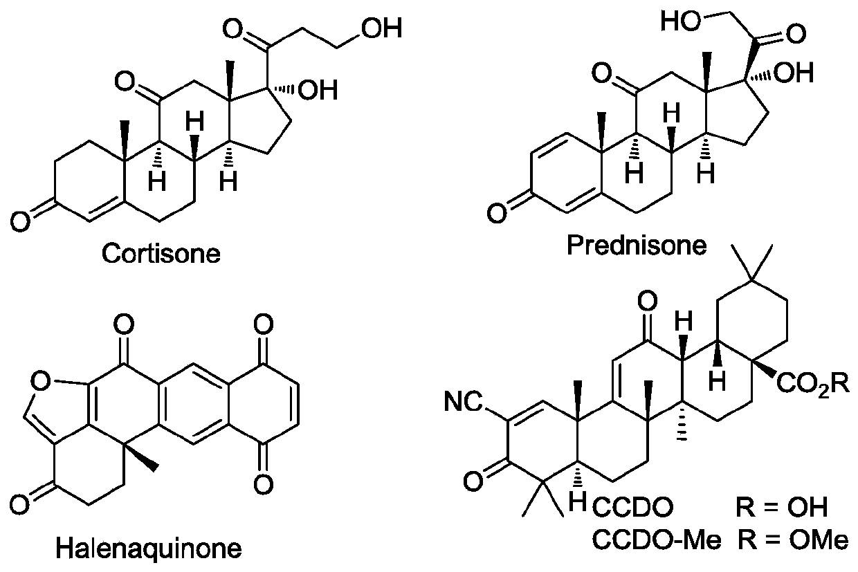 A kind of preparation method of polycyclic ketone