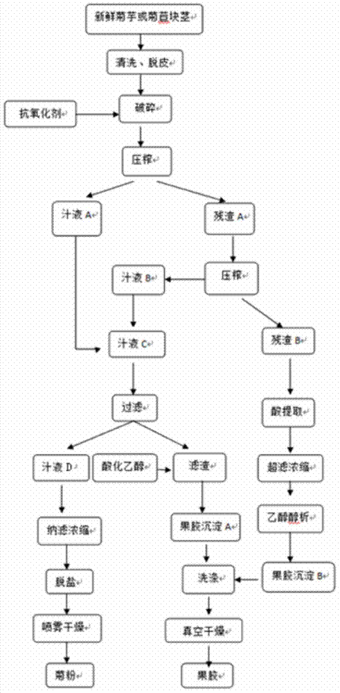 Method for continuously preparing inulin and pectin by using jerusalem artichoke and/or endives