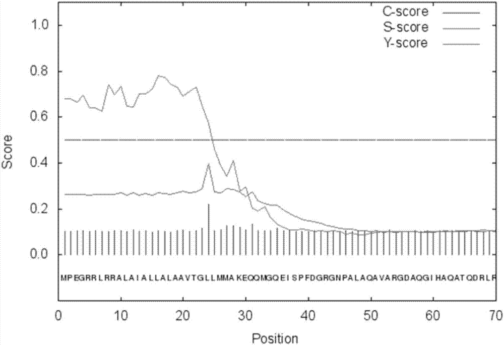 Expression and purification method of phospholipase A1 accessory protein PlaS