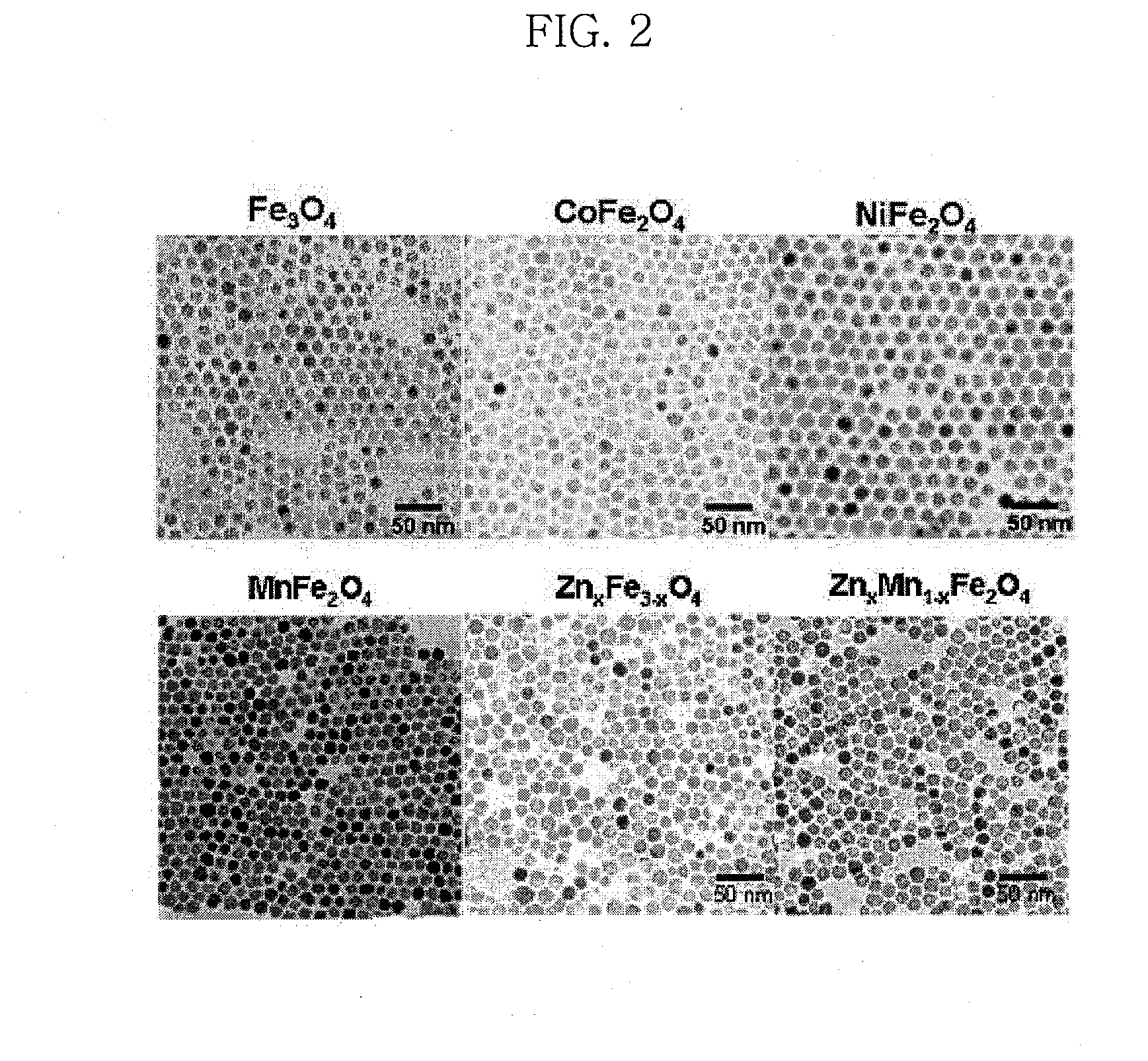 Water-soluble magnetic or metal oxide nanoparticles coated with ligands, preparation method and usage thereof