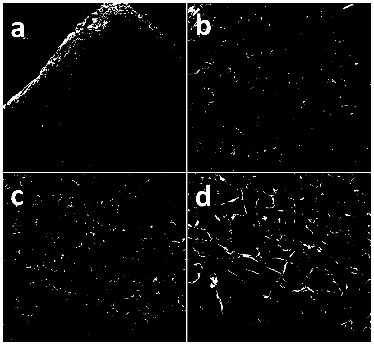 A chitosan-based gradient biomimetic composite scaffold material and its construction method