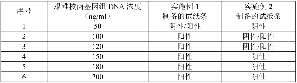 A kind of colloidal gold test strip and kit for detecting Clostridium difficile