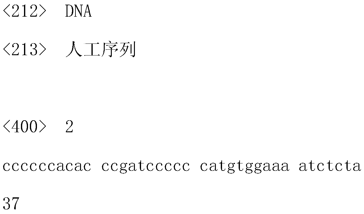 Aflatoxin M1 detection method and kit