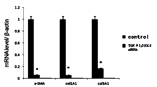 siRNA molecular composition and application thereof in treatment on pathological scars