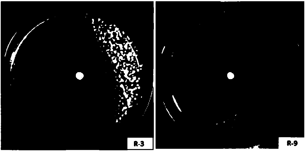 Two ralstonia-solanacearum-resistant endophytic bacillus velezensis strains and application thereof