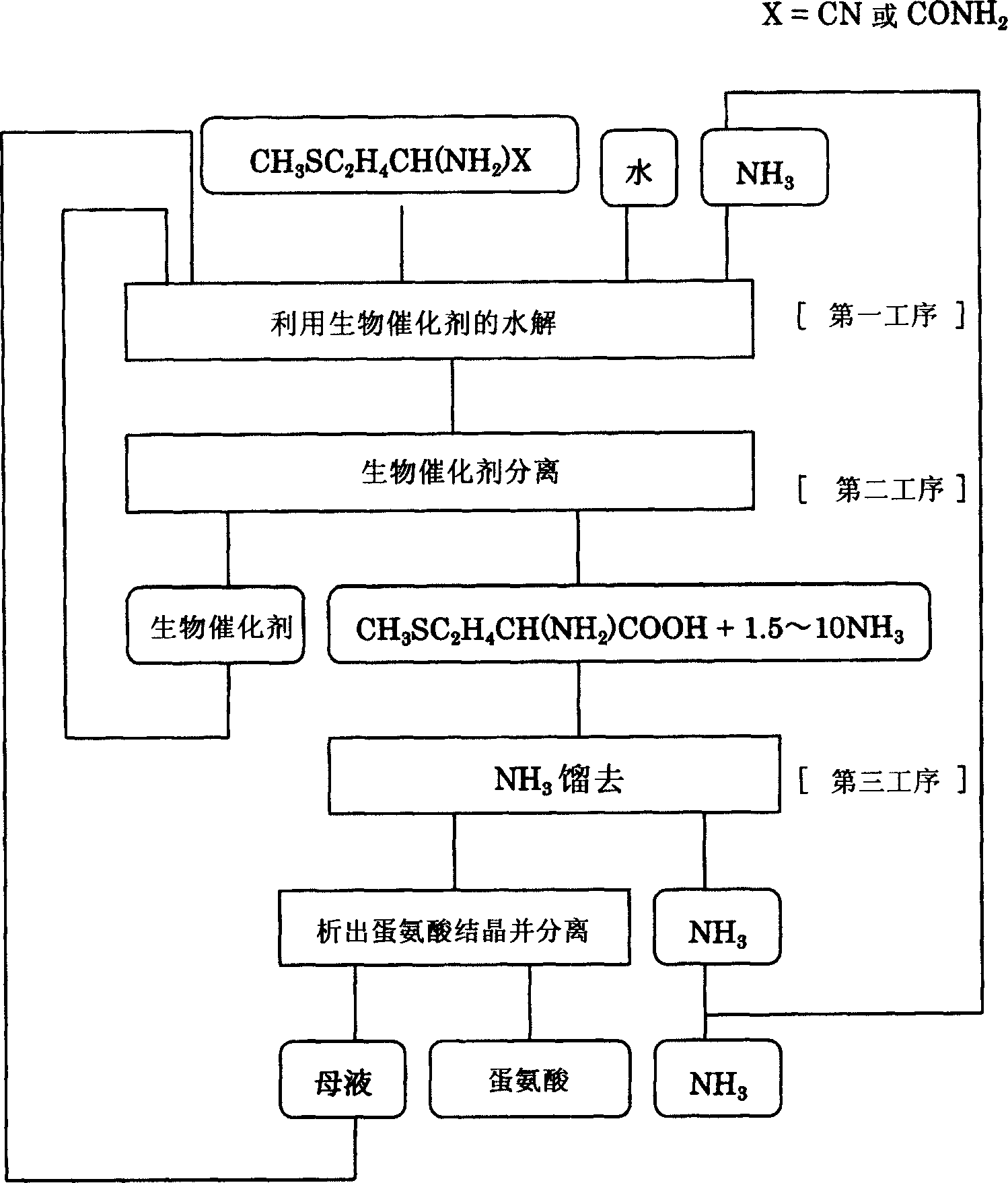 Process for the production of methionine