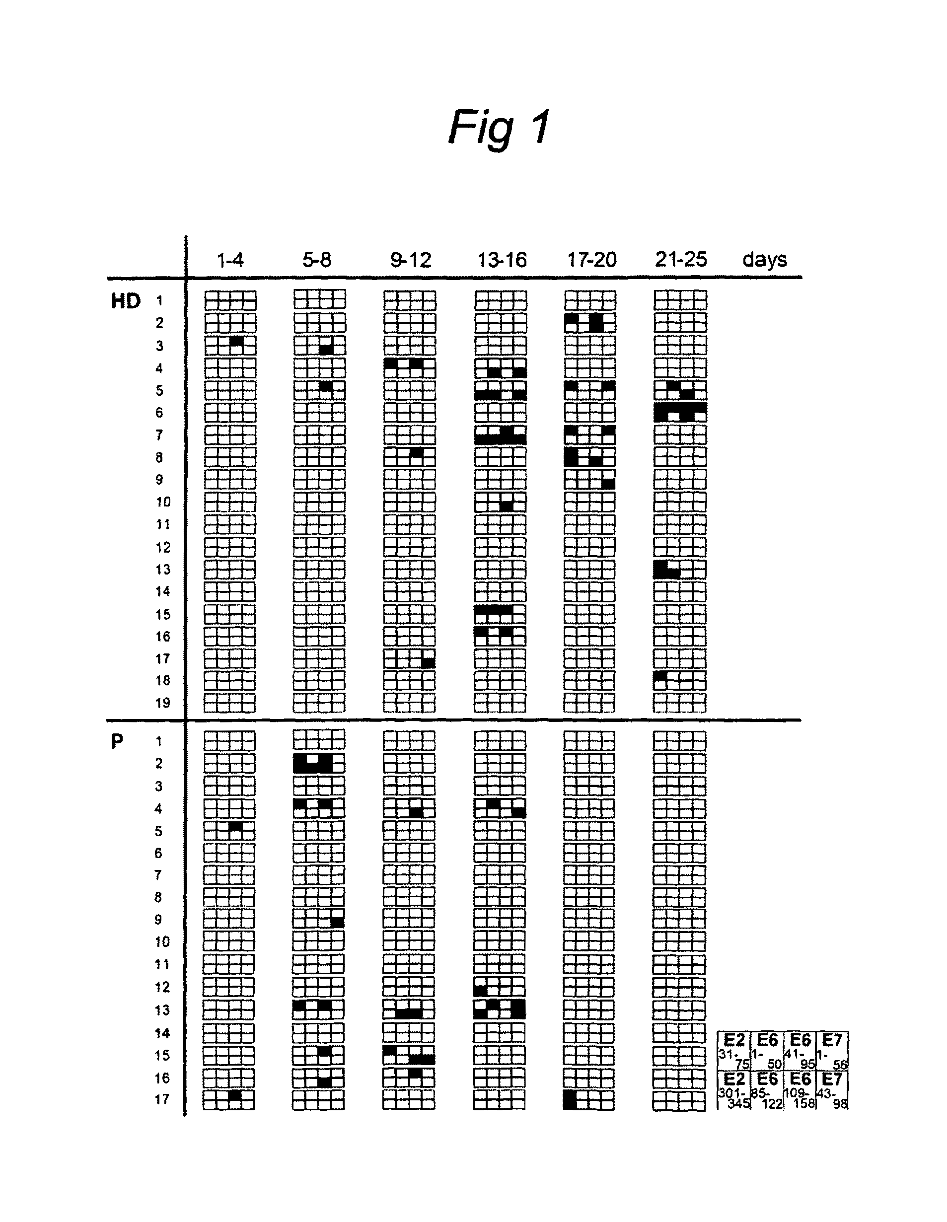 Intradermal HPV peptide vaccination