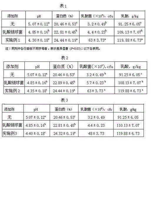 Microbial additive for alfalfa haylage, preparation method and application thereof