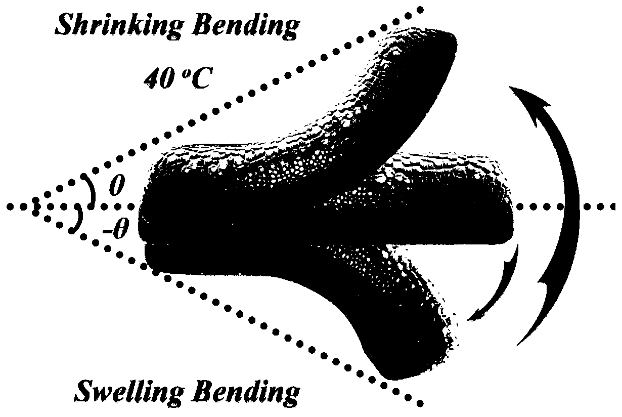 Preparation method and application of gradient hydrogel soft drive