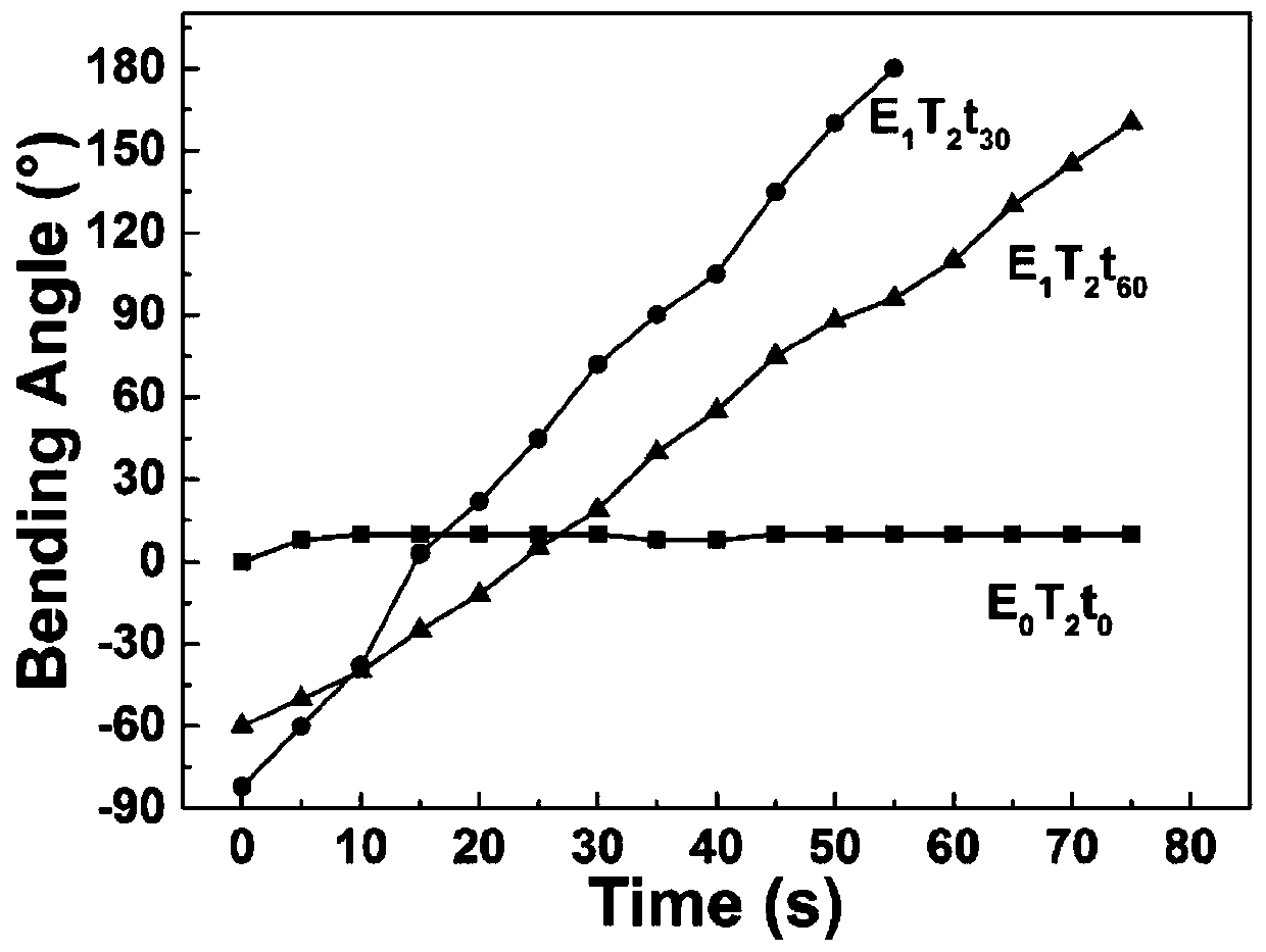 Preparation method and application of gradient hydrogel soft drive