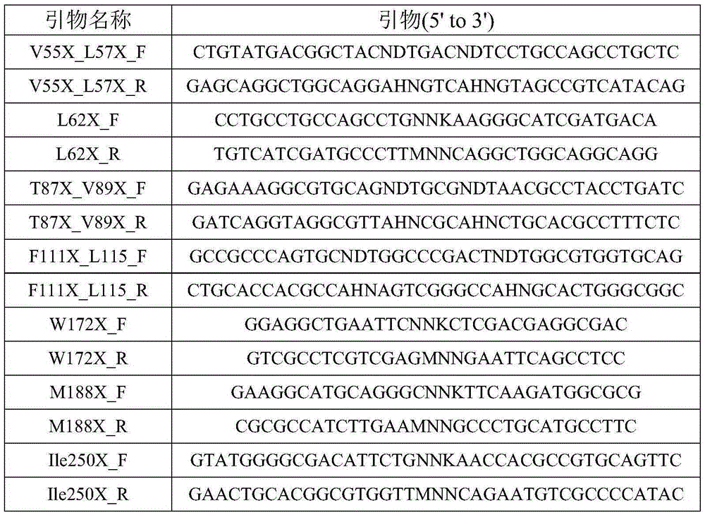 Engineering organophosphorus hydrolase, nucleic acid, mutant and application of engineering organophosphorus hydrolase and mutant